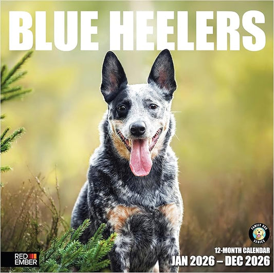 RED EMBER Blue Heelers 2026 Wall Calendar 12 Month | 12" x 24" Open | Thick & Sturdy Paper | Holiday Gift | Cute Puppy Dog Calendar 2026
