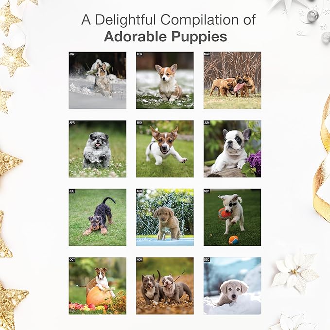 RED EMBER Puppies 2026 Wall Calendar 12 Month | 12" x 24" Open | Thick & Sturdy Paper | Holiday Gift | Cute Puppy Dog Calendar 2026