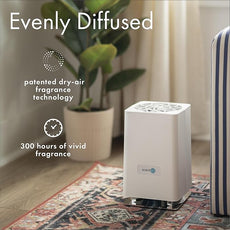 ScentAir Whisper Home Monthly Plug-in Refill, Fragrance Cartridge for Home and Office, Amazon Exclusive, Lavender & Ylang