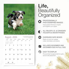 RED EMBER Havanese Puppies 2026 Wall Calendar 12 Month | 12