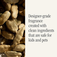 Pura x Studio McGee Home Scent Refill - Smart Air Diffuser - Up to 120-Hours of Luxury Fragrance per Refill - Home Essential - Clean & Safe Diffuser Fragrance - 2 Pack, Cardamom Blossom