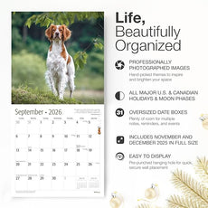 RED EMBER Brittanys 2026 Wall Calendar 12 Month | 12