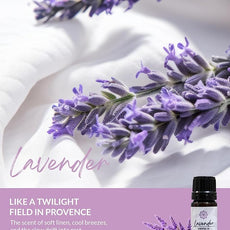 Essence Pearl Travel Case - Wearable Aromatherapy Kit with Nasal Diffuser Rings, Soaking Bay, and 5mL Essential Oil – Portable Wellness Gift Set for On?The?Go Self Care