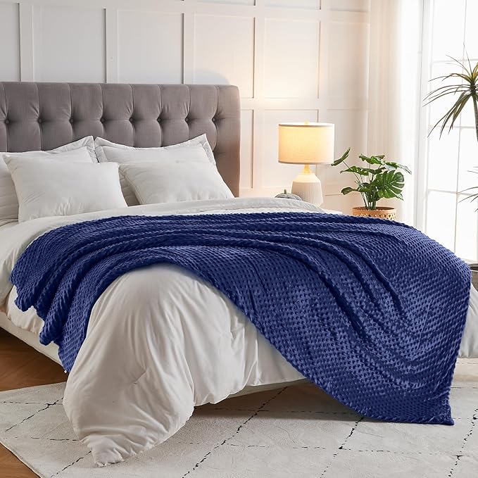 Weighted Blanket with Cover Twin Size Heavy Blanket Removable Soft Blue Blankets Microfiber Washable Heated Weighted Throw Blankets Winter Warm Weighted Comforter 15lbs, 48 * 72