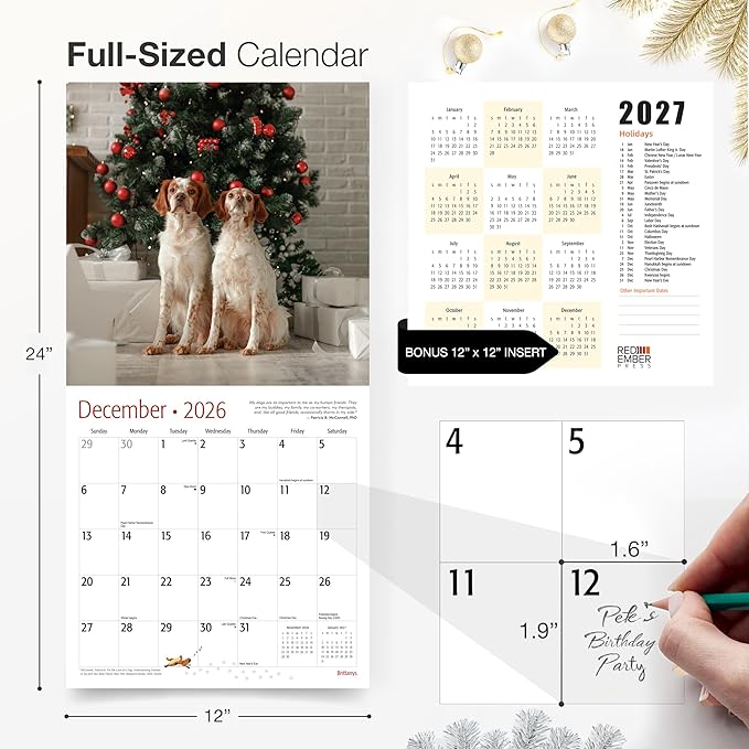 RED EMBER Brittanys 2026 Wall Calendar 12 Month | 12" x 24" Open | Thick & Sturdy Paper | Holiday Gift | Cute Spaniel Puppy Dog Calendar 2026