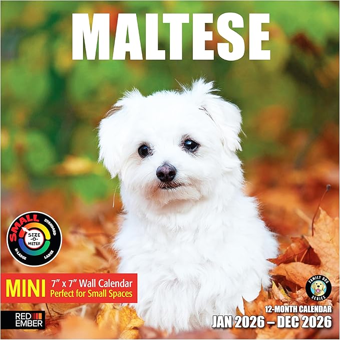 RED EMBER Maltese 2026 Mini Wall Calendar 12 Month | 7" x 14" Open | Thick & Sturdy Paper | Holiday Gift | Cute Puppy Dog Calendar 2026
