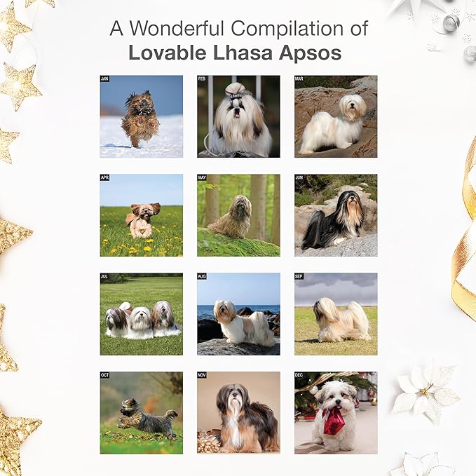 RED EMBER Lhasa Apsos 2026 Wall Calendar 12 Month | 12" x 24" Open | Thick & Sturdy Paper | Holiday Gift | Cute Puppy Dog Calendar 2026