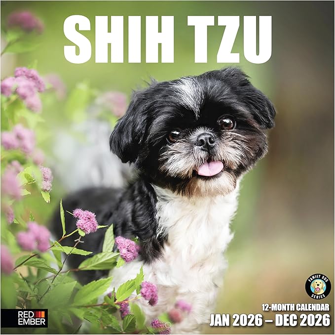 RED EMBER Shih Tzu 2026 Wall Calendar 12 Month | 12" x 24" Open | Thick & Sturdy Paper | Holiday Gift | Cute Puppy Dog Calendar 2026