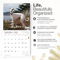 RED EMBER Italian Greyhounds 2026 Wall Calendar 12 Month | 12