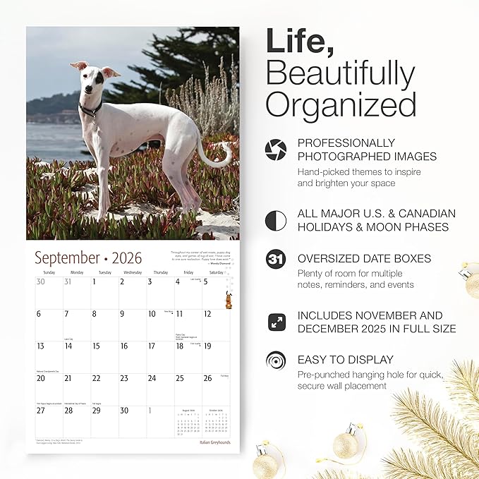 RED EMBER Italian Greyhounds 2026 Wall Calendar 12 Month | 12" x 24" Open | Thick & Sturdy Paper | Holiday Gift | Cute Puppy Dog Calendar 2026