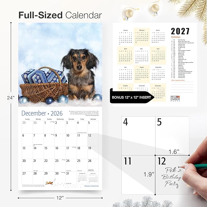 RED EMBER Miniature Dachshunds 2026 Wall Calendar 12 Month | 12" x 24" Open | Thick & Sturdy Paper | Holiday Gift | Cute Puppy Weiner Dog Calendar 2026