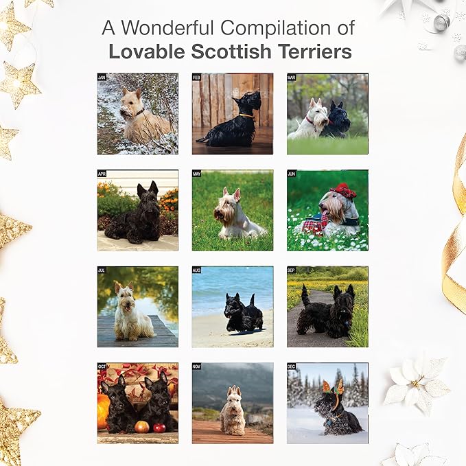 RED EMBER Scottish Terriers 2026 Wall Calendar 12 Month | 12" x 24" Open | Thick & Sturdy Paper | Holiday Gift | Cute Puppy Dog Calendar 2026