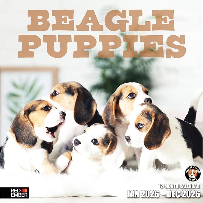 RED EMBER Beagle Puppies 2026 Wall Calendar 12 Month | 12" x 24" Open | Thick & Sturdy Paper | Holiday Gift | Cute Puppy Dog Calendar 2026