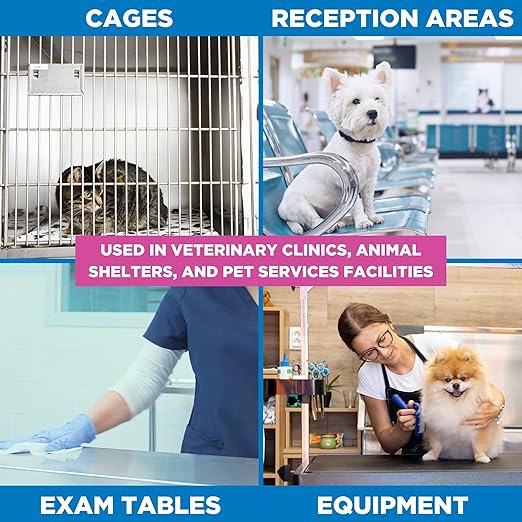 REScue Canister Wipes & Bucket Wipes 4 Pack – Disinfectant Cleaner for Vet Use, Designed to Clean Kennels, Litter Boxes & More