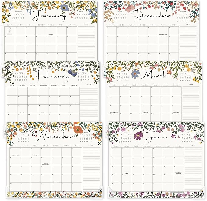 Desk Calendar 2026 with Desktop Mat, Cabbrix Large Desk Pad Calendar 15 x 12 Inch Runs From January 2026 to June 2027, Floral Design Calendar 2026 for Home School and Office (Apricot)