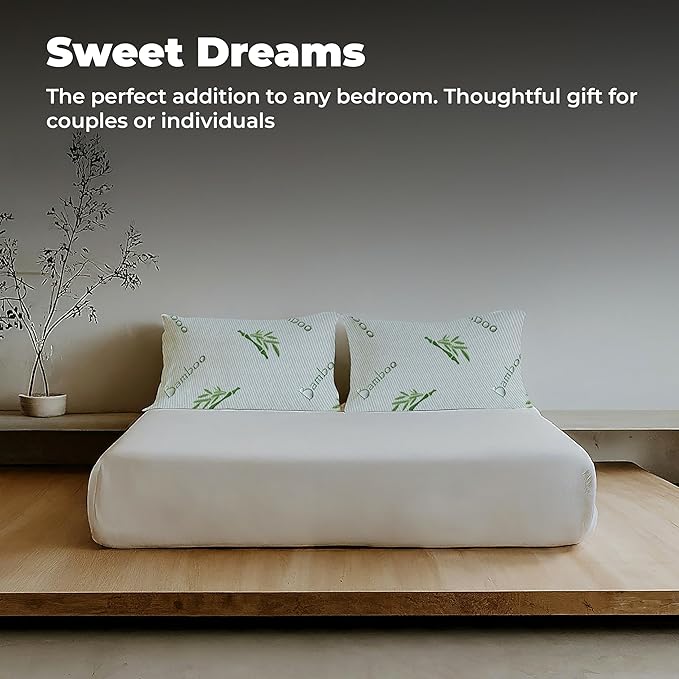 OMEO 2 Pack Queen Size Rayon Derived from Bamboo Pillow for Sleeping Shredded Memory Foam Bed Pillows for Side, Back and Stomach Sleepers, Soft, Cooling, Adjustable and Washable Cover 20" x 30"