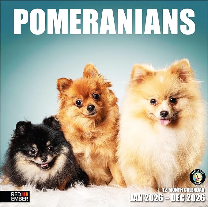 RED EMBER Pomeranians 2026 Wall Calendar 12 Month | 12" x 24" Open | Thick & Sturdy Paper | Holiday Gift | Cute Puppy Dog Calendar 2026