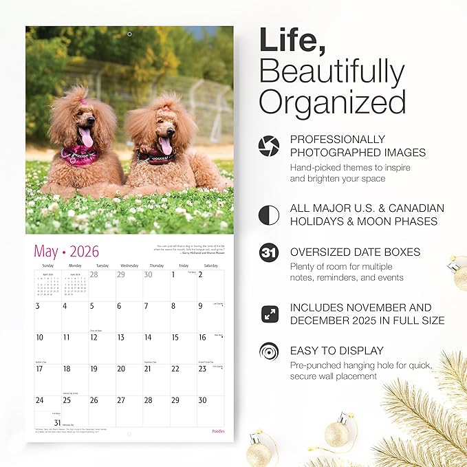 RED EMBER Poodles 2026 Wall Calendar 12 Month | 12" x 24" Open | Thick & Sturdy Paper | Holiday Gift | Cute Puppy Dog Calendar 2026