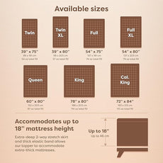 HOSPITOLOGY PRODUCTS Hypoallergenic Mattress Cover- Overstuffed - Deep Pocket - Goose Down Alternative Pillow Top Mattress Topper Queen - 60