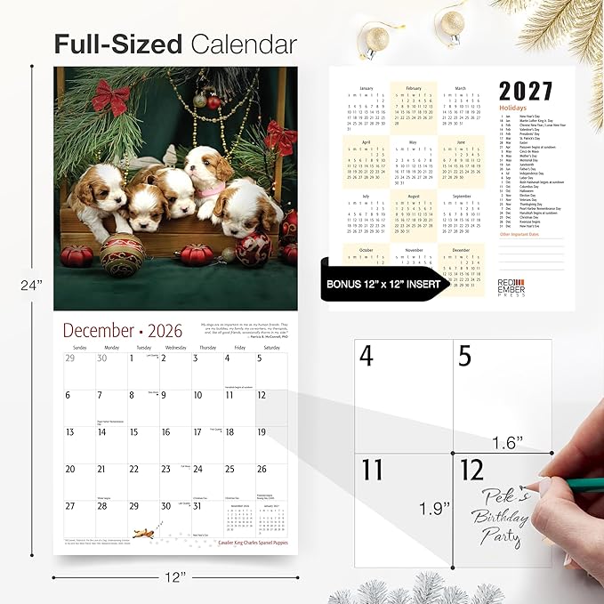 RED EMBER Cavalier King Charles Spaniel Puppies 2026 Wall Calendar 12 Month | 12" x 24" Open | Thick & Sturdy Paper | Holiday Gift | Cute Puppy Dog Calendar 2026