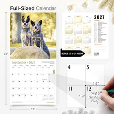 RED EMBER Australian Cattle Dogs 2026 Wall Calendar 12 Month | 12