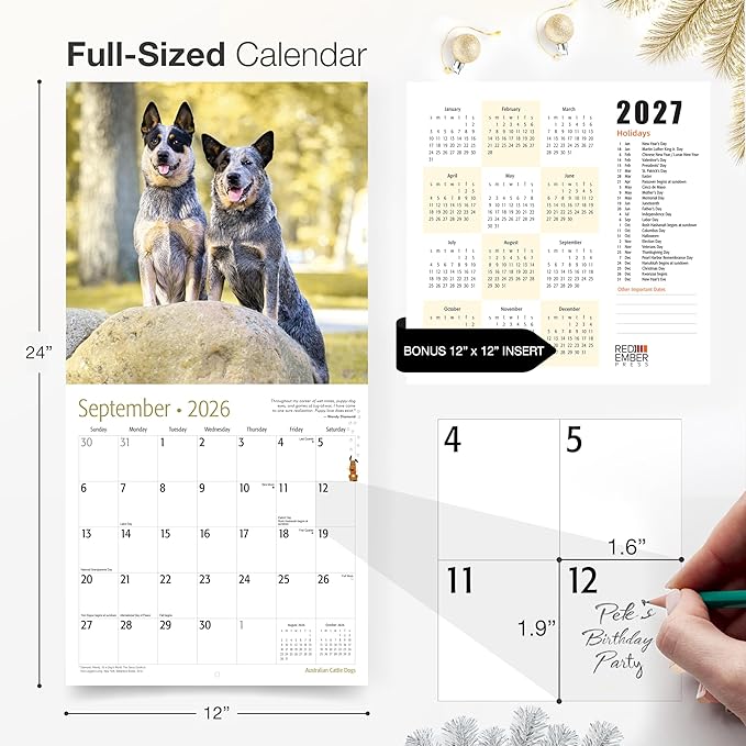RED EMBER Australian Cattle Dogs 2026 Wall Calendar 12 Month | 12" x 24" Open | Thick & Sturdy Paper | Holiday Gift | Cute Puppy Dog Calendar 2026