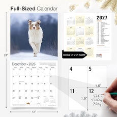 RED EMBER Australian Shepherds Aussies 2026 Wall Calendar 12 Month | 12
