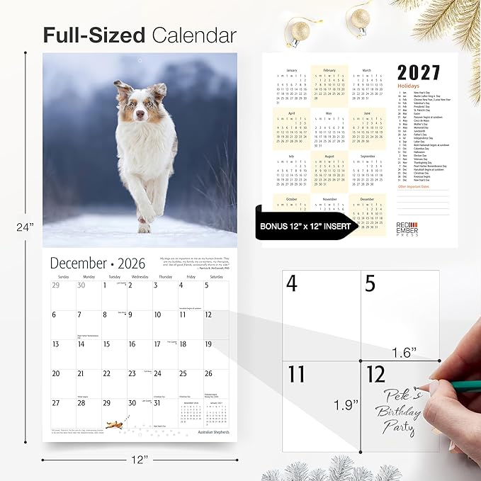RED EMBER Australian Shepherds Aussies 2026 Wall Calendar 12 Month | 12" x 24" Open | Thick & Sturdy Paper | Holiday Gift | Cute Puppy Dog Calendar 2026