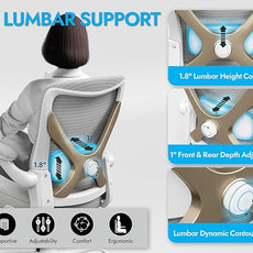 Ergonomic Office Chair with Lumbar Support - Adjustable Computer Desk Chairs for Home Office, Gaming, and Work - Comfortable and Supportive Desk Chairs for Adults(Grey Gold)