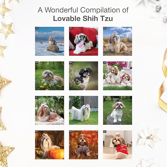 RED EMBER Shih Tzu 2026 Wall Calendar 12 Month | 12" x 24" Open | Thick & Sturdy Paper | Holiday Gift | Cute Puppy Dog Calendar 2026