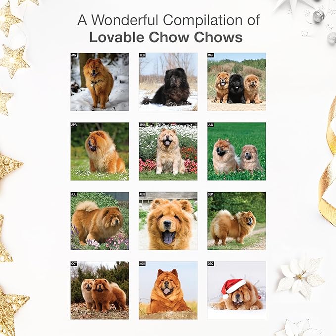 RED EMBER Chow Chows 2026 Wall Calendar 12 Month | 12" x 24" Open | Thick & Sturdy Paper | Holiday Gift | Cute Puppy Dog Calendar 2026