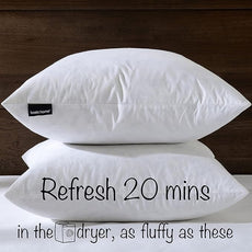 18x18 Decorative Throw Pillow Inserts-Down Feather Pillow Inserts-Square-Cotton Fabric-Set of 2-White.