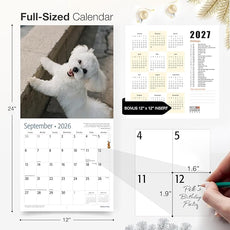 RED EMBER Bichon Frises 2026 Wall Calendar 12 Month | 12