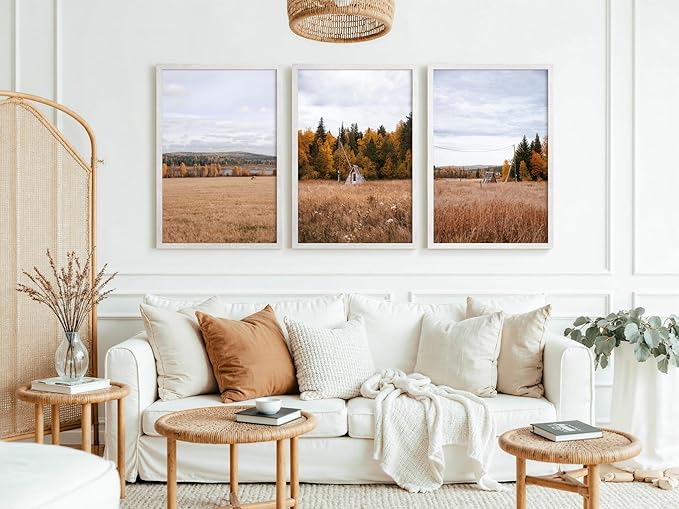 20x30 Frame Set of 3, Rustic White Wood Grain 20x30 Poster Frame for Gallery Wall Mounting (3 Pack,White)
