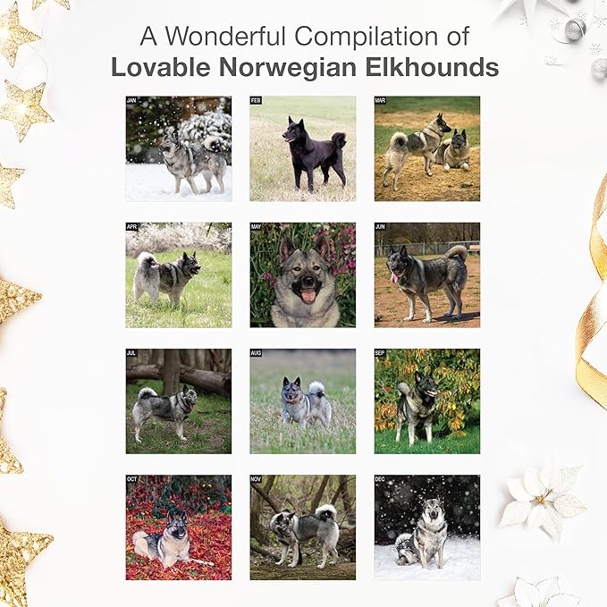 RED EMBER Norweigian Elkhounds 2026 Wall Calendar 12 Month | 12" x 24" Open | Thick & Sturdy Paper | Holiday Gift | Cute Puppy Dog Calendar 2026