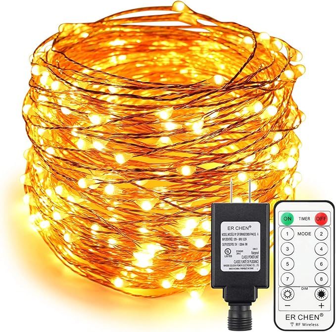 ER CHEN 99ft Led String Lights,300 Led Fairy Starry Lights on 30M Copper Wire String Lights + 12V DC Power Adapter + RF Remote Control for Christmas (Warm White)
