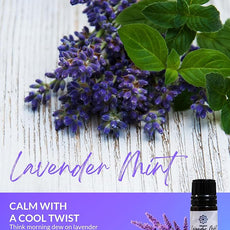 Essence Pearl Travel Case - Wearable Aromatherapy Kit with Nasal Diffuser Rings, Soaking Bay, and 5mL Essential Oil – Portable Wellness Gift Set for On?The?Go Self Care