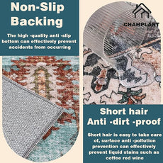 Washable Area Rug 8'x10' Light Cyan and Light red Retro Boho Design Non-Shedding Non-Slip Easy Care Ideal for High Traffic Areas in Living Room Bedroom Office Kitchen Large Carpet