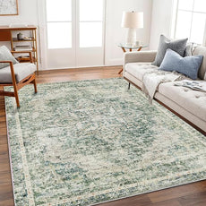 Washable Area Rug 3'x5' Vintage Traditional Floor Cover Foldable Thin Rugs Retro Kitchen Indoor Distressed Non Slip Carpet Floral Print Mat Bedroom Living Room
