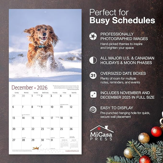 MICASA PRESS Longhaired Dachshunds 2026 Wall Calendar 12 Month | 12" x 24" Open | Thick & Sturdy Paper | Holiday Gift | Cute Puppy Weiner Dog Calendar 2026