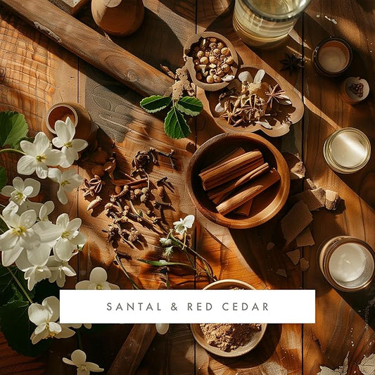 ScentAir Whisper Home Monthly Plug-in Refill, Fragrance Cartridge for Home and Office, Santal & Red Cedar