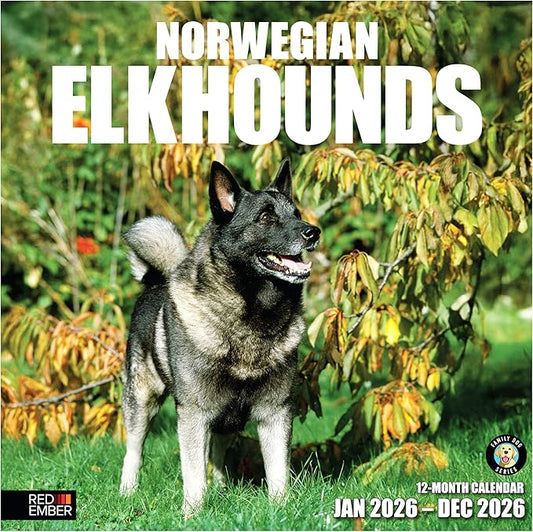 RED EMBER Norweigian Elkhounds 2026 Wall Calendar 12 Month | 12" x 24" Open | Thick & Sturdy Paper | Holiday Gift | Cute Puppy Dog Calendar 2026