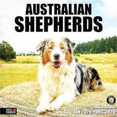 RED EMBER Australian Shepherds Aussies 2026 Wall Calendar 12 Month | 12