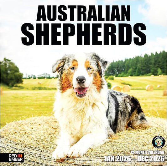 RED EMBER Australian Shepherds Aussies 2026 Wall Calendar 12 Month | 12" x 24" Open | Thick & Sturdy Paper | Holiday Gift | Cute Puppy Dog Calendar 2026