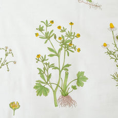 FADFAY Shabby Green Floral Sheet Set 100% Cotton Bed Sheet Set Green White Natural Hypoallergenic Bedding Set,4pcs-Queen