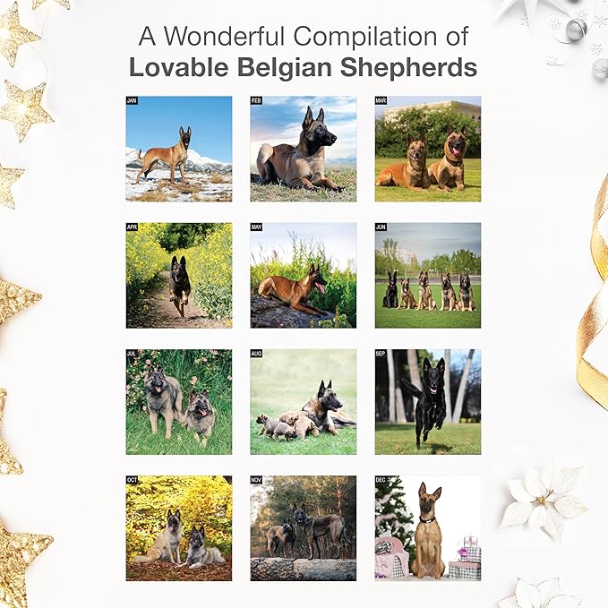 RED EMBER Belgian Shepherds 2026 Wall Calendar 12 Month | 12" x 24" Open | Thick & Sturdy Paper | Holiday Gift | Cute Puppy Dog Calendar 2026