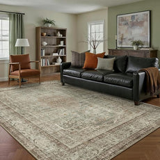 Sage Area Rug 6x9 for Living Room Washable Vintage Carpet Low Pile Non Slip Distressed Soft Traditional Retro Oriental Large Accent Throw Rug Office Bedroom Dining Room Playroom