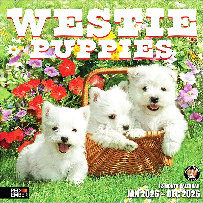 RED EMBER Westie Puppies West Highland White Terrier 2026 Wall Calendar 12 Month | 12" x 24" Open | Thick & Sturdy Paper | Holiday Gift | Cute Puppy Dog Calendar 2026
