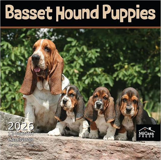 MICASA PRESS Basset Hound Puppies 2026 Wall Calendar 12 Month | 12" x 24" Open | Thick & Sturdy Paper | Holiday Gift | Cute Puppy Dog Calendar 2026
