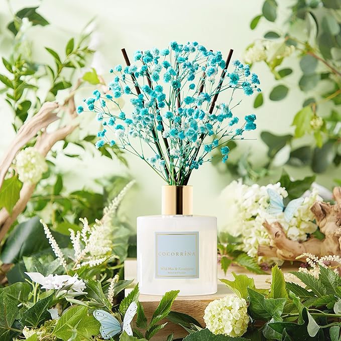 COCORRÍNA Reed Diffuser - Wild Mint & Eucalyptus 6.7 Fl.oz Reed Diffuser Set with Sticks & Preserved Baby's Breath, Reed Diffuser for Home Bathroom Shelf Decor